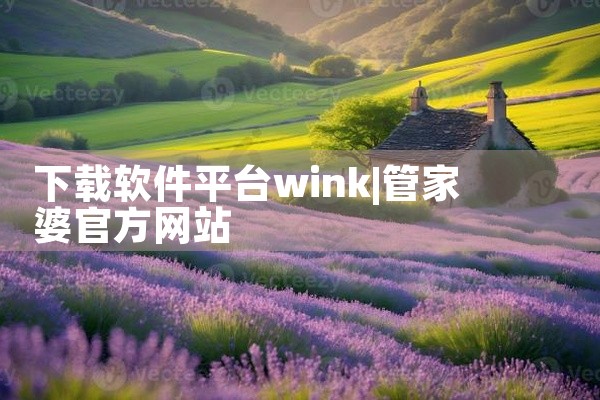 下载软件平台wink