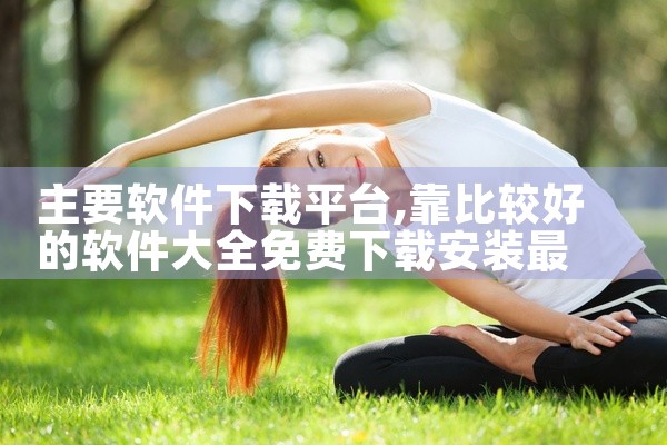 主要软件下载平台